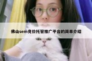 佛山sem竞价托管推广平台的简单介绍