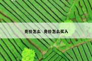 竞价怎么  竞价怎么买入