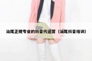 汕尾正规专业的抖音代运营（汕尾抖音培训）