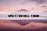 光明服务好的竞价托管  光明销售