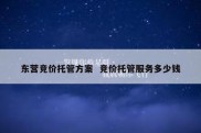东营竞价托管方案  竞价托管服务多少钱