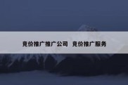 竞价推广推广公司  竞价推广服务
