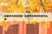 甘肃神马竞价托管  甘肃神马竞价托管怎么样