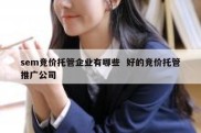 sem竞价托管企业有哪些  好的竞价托管推广公司