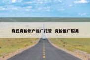 商丘竞价账户推广托管  竞价推广服务
