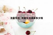 流量引流  流量引流成本多少钱