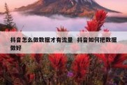 抖音怎么做数据才有流量  抖音如何把数据做好