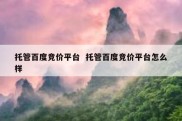 托管百度竞价平台  托管百度竞价平台怎么样