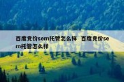 百度竞价sem托管怎么样  百度竞价sem托管怎么样