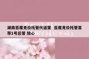 湖南百度竞价托管代运营  百度竞价托管首荐1号总管 放心