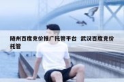 随州百度竞价推广托管平台  武汉百度竞价托管