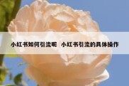 小红书如何引流呢  小红书引流的具体操作