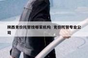 陕西竞价托管找哪家机构  竞价托管专业公司