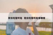 竞价托管坏处  竞价托管坏处有哪些