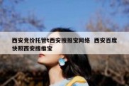 西安竞价托管t西安搜推宝网络  西安百度快照西安搜推宝