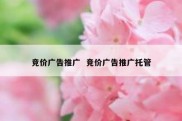 竞价广告推广  竞价广告推广托管