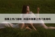 我要上热门涨粉  抖音的我要上热门有用吗