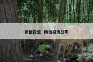 微信投流  微信投流公司