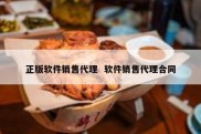 正版软件销售代理  软件销售代理合同