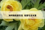 如何做拓客引流  拓客引流文案