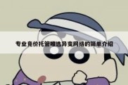 专业竞价托管唯选异变网络的简单介绍