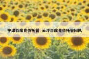 宁津百度竞价托管  云浮百度竞价托管团队