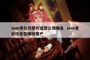 sem竞价托管代运营公司排名  sem竞价托管在哪找客户