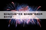 独立站怎么推广引流  独立站推广提成比例多少个点