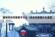 藁城竞价托管属于什么（竞价托管是什么意思）