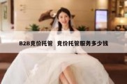 B2B竞价托管  竞价托管服务多少钱