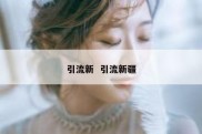 引流新  引流新疆