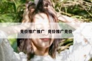竞价推广推广  竞价推广竞价
