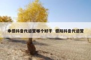 承德抖音代运营哪个好干  德阳抖音代运营
