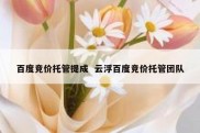 百度竞价托管提成  云浮百度竞价托管团队