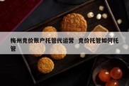 梅州竞价账户托管代运营  竞价托管如何托管