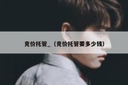 竞价托管_（竞价托管要多少钱）