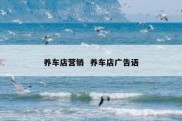 养车店营销  养车店广告语