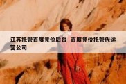 江苏托管百度竞价后台  百度竞价托管代运营公司