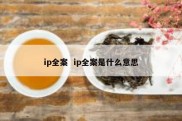 ip全案  ip全案是什么意思