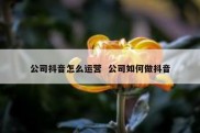 公司抖音怎么运营  公司如何做抖音