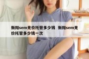 衡阳sem竞价托管多少钱  衡阳sem竞价托管多少钱一次