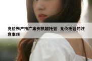 竞价账户推广案例凯越托管  竞价托管的注意事项