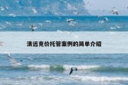 清远竞价托管案例的简单介绍