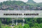 天猫新店前期运营技巧  天猫新店如何运营