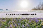 竞价托管得公司（竞价托管公司方案）