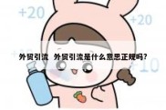 外贸引流  外贸引流是什么意思正规吗?