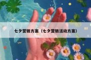七夕营销方案（七夕营销活动方案）