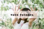 平台引流  平台引流是什么