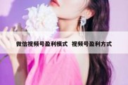 微信视频号盈利模式  视频号盈利方式
