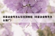 抖音企业号怎么引流到微信（抖音企业账号怎么推广）
